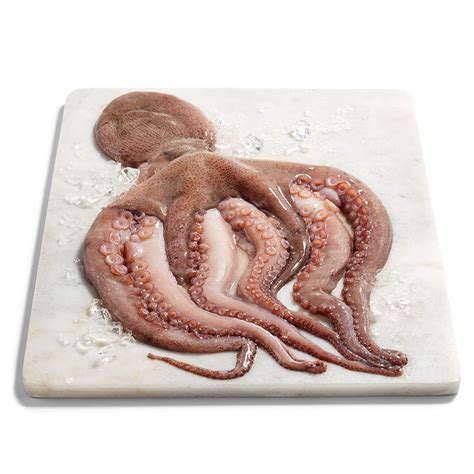 Octopus Whole Egmont Seafoods Octopus Whole Egmont Seafoods
