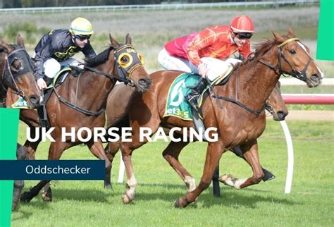 Oddschecker Horse Racing