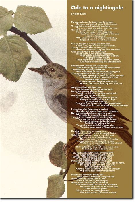 Ode To A Nightingale Poem By John Keats Art Print Poster Etsy Uk