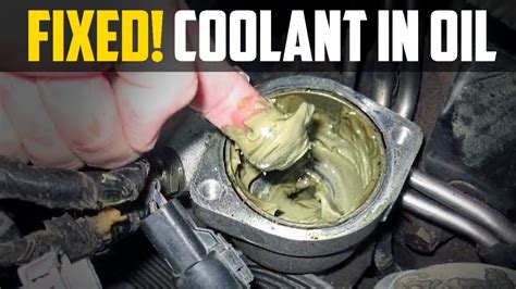 Understanding the Risks and Solutions for Oil in Coolant Systems