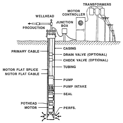 Oil Pump An Overview Sciencedirect Topics