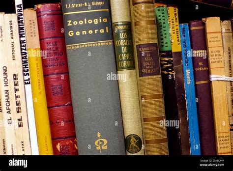 Old Spanish Language Books Hi Res Stock Photography And Images Alamy