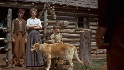 Old Yeller On Itunes