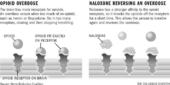 Opioid Overdose Signs What To Do How To Use Naloxone