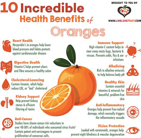 Oranges Health Benefits 10 Health Benefits Of Eating Oranges Orange Nutrition Why You Should Eat Oranges The Times Of India Oranges Health Benefits 10 Health Benefits Of Eating Oranges Orange Nutrition Why You Should Eat Oranges The Times Of India