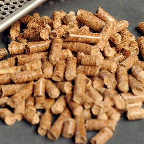 Order Wood Pellets Online Best Wood Pellets Onlineenergy Holz Gmbh