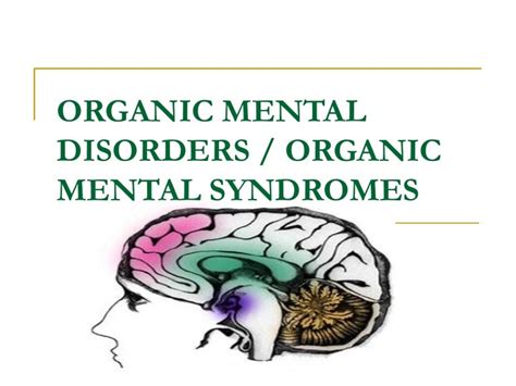 Organic Mental Disorders