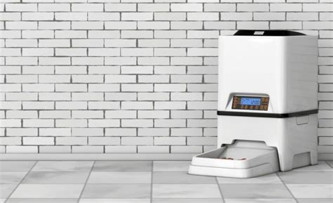 Outdoor Automatic Dog Feeder And Waterer 25 Pound 5 Gallon At Vincent Outdoor Automatic Dog Feeder And Waterer 25 Pound 5 Gallon At Vincent