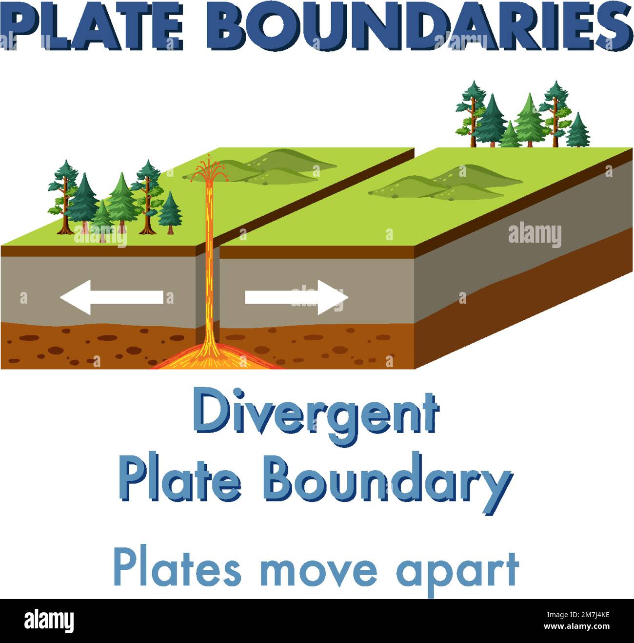 Oviparity An Overview Sciencedirect Topics Oviparity An Overview Sciencedirect Topics