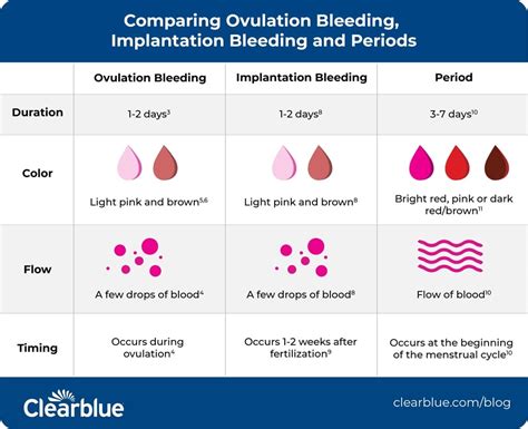 Ovulation Light Spotting