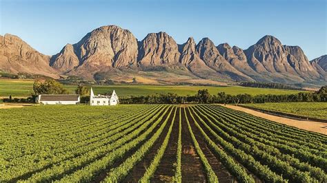 Discover the Charm of Paarl: A Guide to Its Best Attractions