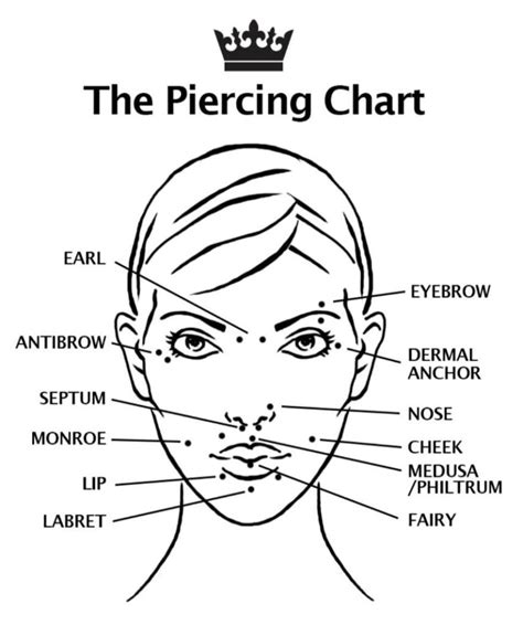 Paris Ink The Facial Piercing Chart Include Eyebrow Cheek Nose Paris Ink The Facial Piercing Chart Include Eyebrow Cheek Nose