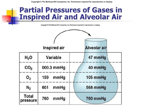 Partial Pressures In Air Partial Pressures In Air