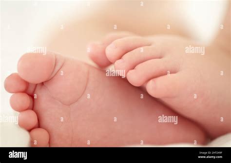 Patter Of Tiny Feet Hi Res Stock Photography And Images Alamy