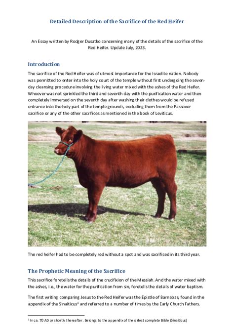 Pdf Detailed Description Of The Sacrifice Of The Red Heifer 2024