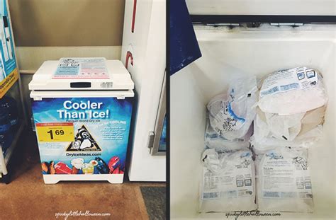 Penguin Dry Ice Storage Bin In Grocery Store Hunting Waterfalls