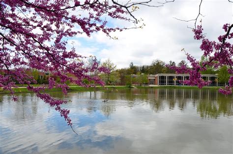 Pennsylvania State University Altoona Campus University Colleges Details Pathways To Jobs