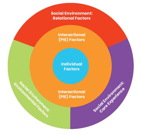 Person In Environment Framework For The Yers Download Scientific Diagram