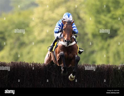 Perth Horse Racing Scotland Hi Res Stock Photography And Images Alamy