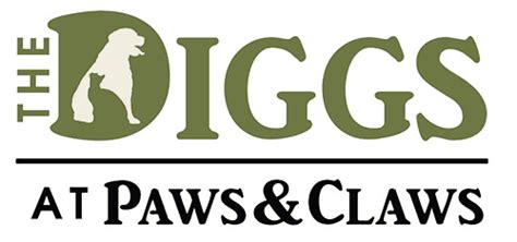 Pet Hotel Wilmington Nc The Diggs At Paws Amp Claws