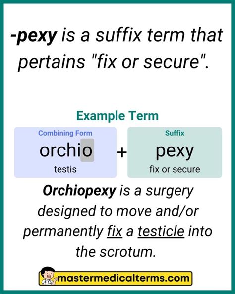 Pexy Medical Term