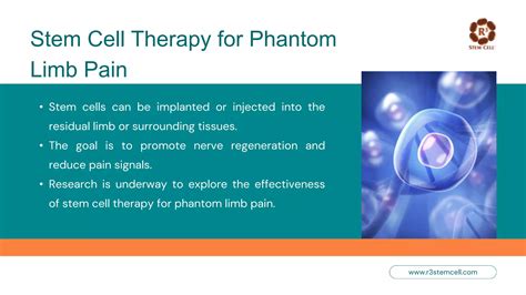 Phantom Limb Pain Exploring Stem Cell Solutions Dr David Greene Pptx Phantom Limb Pain Exploring Stem Cell Solutions Dr David Greene Pptx