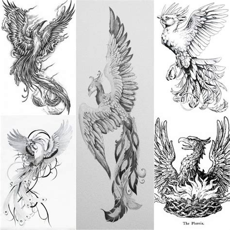Phoenix Tattoo Sketch At Paintingvalley Com Explore Collection Of