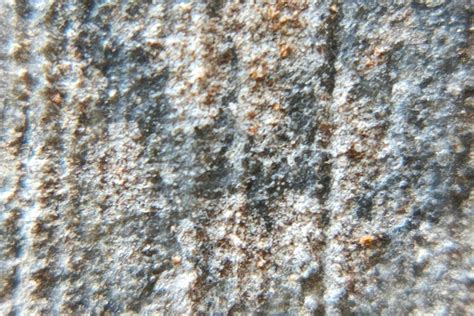 Photo Macro Abstract Object Surface With Natural Rough Texture Background 10453463 Stock Photo