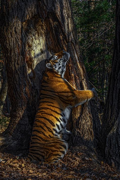 Photographers Of The Year Photographers Of The Year