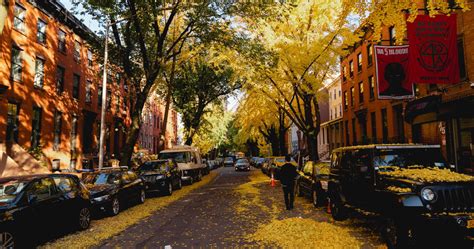 Photos Of Peak Nyc Fall Foliage In Fort Greene Brooklyn