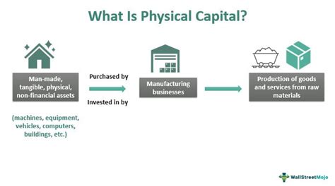 Physical Capital Definition And Effects On Productivity Video