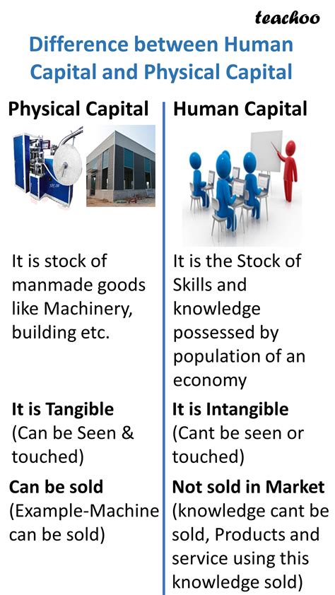 Physical Capital Versus Human Capital Economics Dr Manishika Youtube