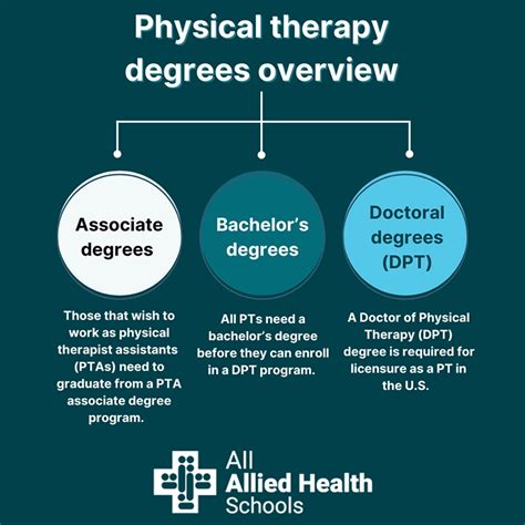 Physical Therapy Degree Programs Florida Physical Therapy Degree Programs Florida