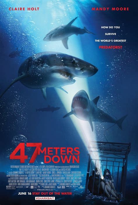 Picture Of 47 Meters Down
