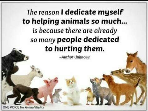 Pin By Amanda Mitchell Fonza On Save Our Home A Better World Animal