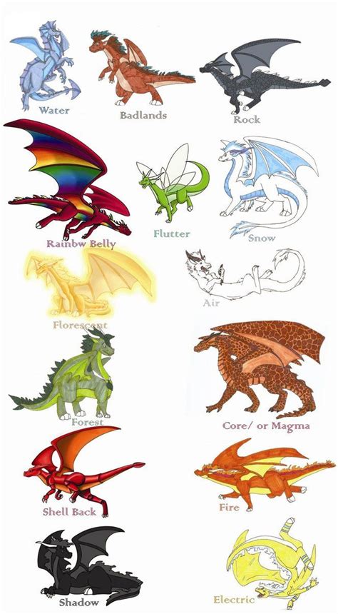 Pin By Maree Pricer On Dragon Art Types Of Dragons Dragon Art Dragon Knight