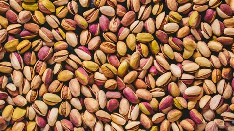 Pistachios Benefits Gut Nutritional Value And Protein Rich Elegitystore