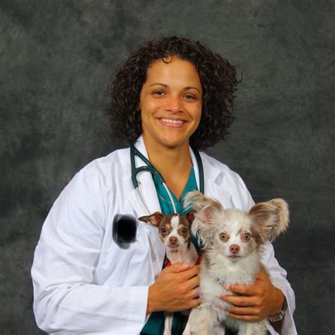 Pittsburgh Veterinary Specialty And Emergency Center Linkedin