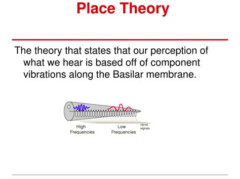Place Theory Psychology Definition Uncovered: A Fascinating Insight