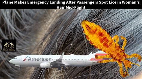 Plane Makes Emergency Landing After Passengers Spot Lice In Woman S