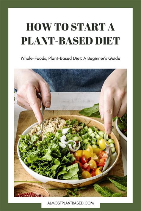 Plant Based Diet A Beginners Guide Heights