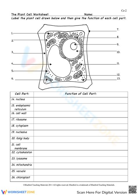 Plant Cell Diagram Worksheet