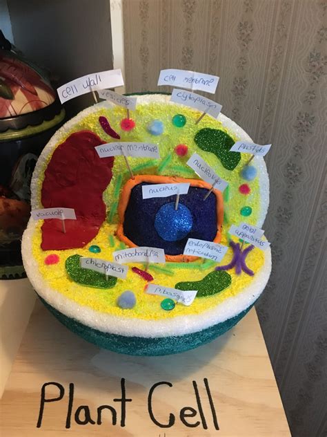 Plant Cell Project Ideas