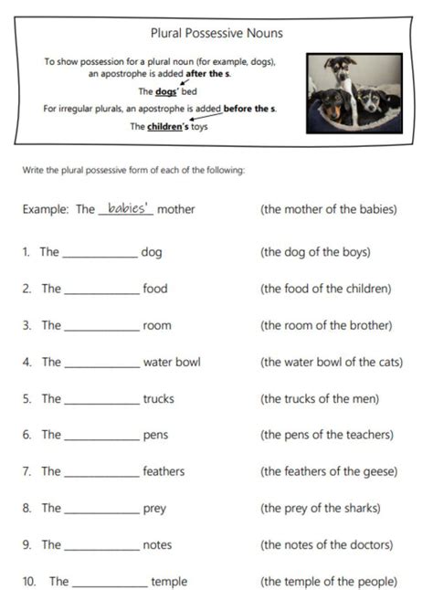 Plural Possessive Nouns 3Rd Grade Noun Worksheet