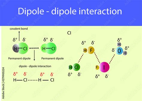 Plz Explain Ion Dipole Interactions Meritnation Com