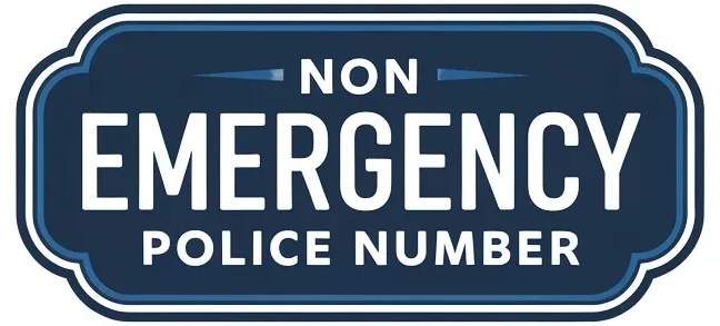 Dallas Police Non Emergency - SKS Search