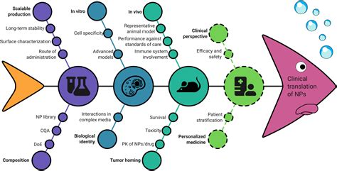Polyester Nanoparticles Delivering Chemotherapeutics Learning From The Past And Looking To The Future To Enhance Their Clinical Impact In Tumor Therapy Longobardi 2024 Wires Nanomedicine And Nanobiotechnology Wiley Online Library