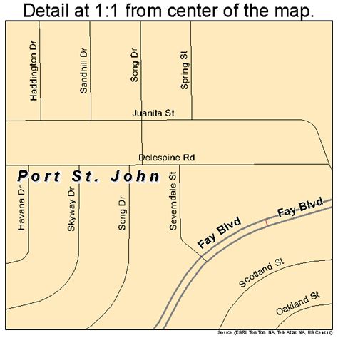 Port St John Florida Street Map 1258700