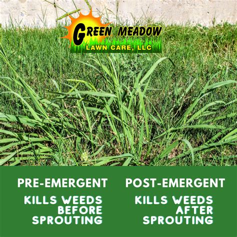 Post Emergent Weed Killer