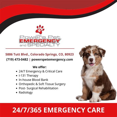 Powers Pet Emergency And Specialty Colorado Springs Colorado Zaubee